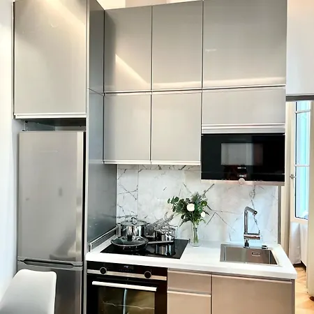 Moderne Et Renove Au Coeur De Lejlighed